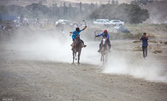 جشنواره اسب اصیل ترکمن